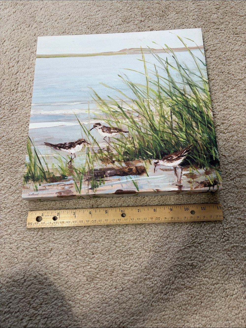 Coastal Shorebirds Canvas Wall Art in Blue & Green